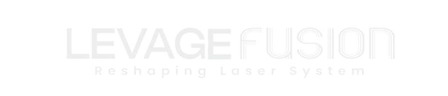 Levage fusion logo