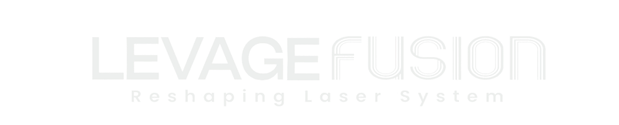 Levage fusion logo